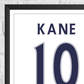 Harry Kane Legend Stats Print